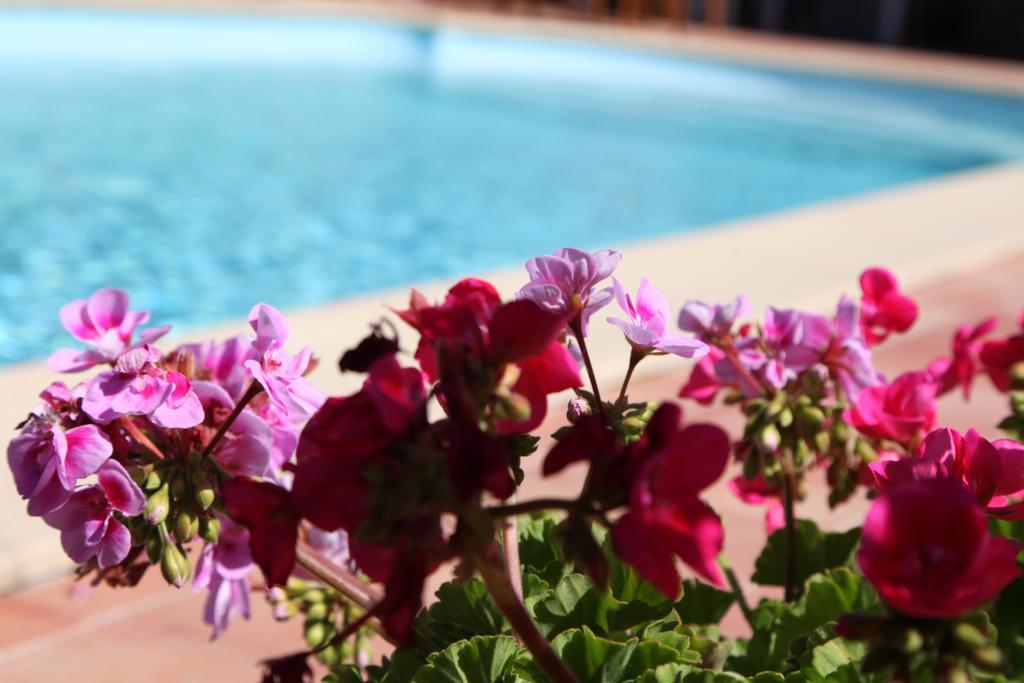 Oeno-Lodge Saint-Germain-d'Esteuil Bagian luar foto